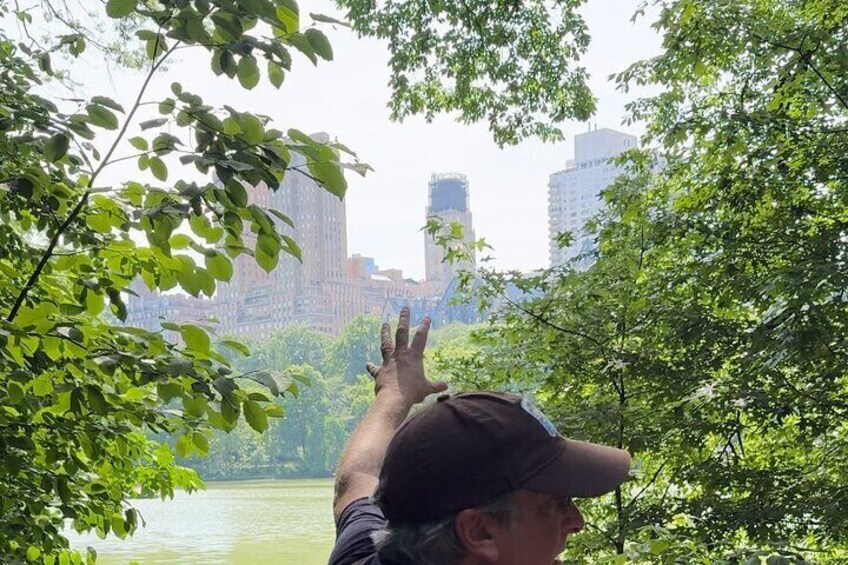 A walk through the Ramble in Central Park