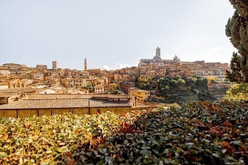 Siena Street Food Tour With A Local Guide