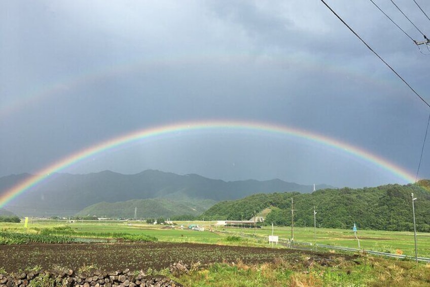 scenery from the field