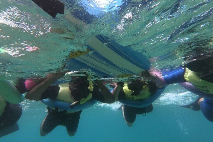 Kauai's Ultimate Guided Shore Snorkel NORTH - ANINI *(NO BOAT)*