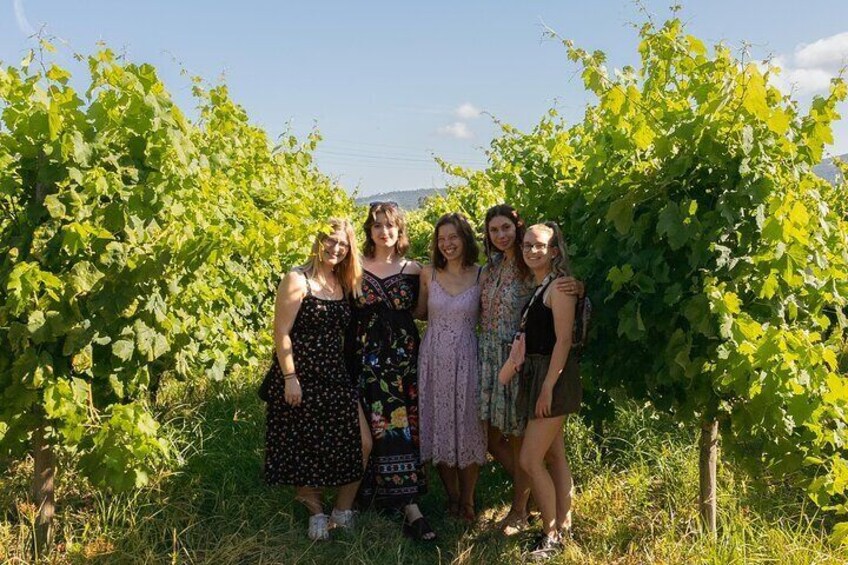 Porto: douro valey, 2 Wine regions, Sommelier, boat trip & lunch