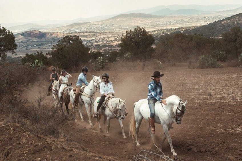 Horseback Riding through Mexican Haciendas 