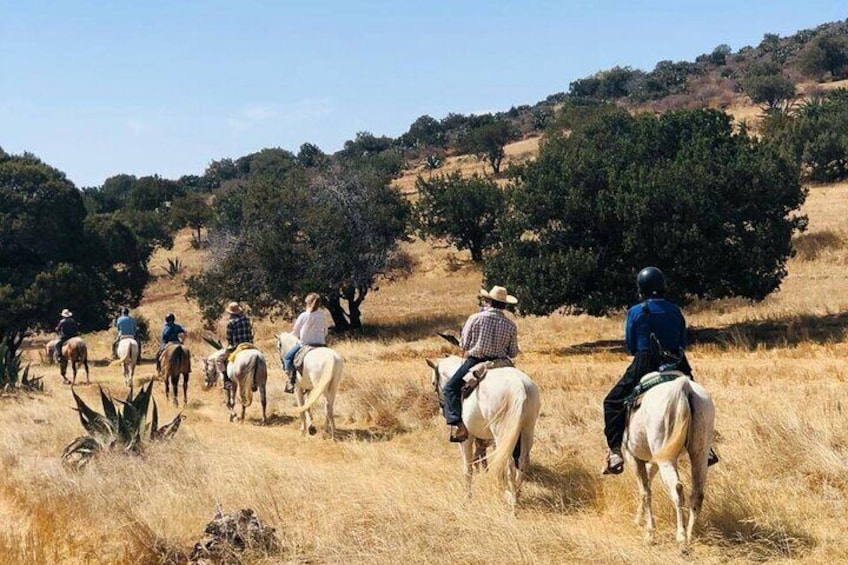 Horseback Riding through Mexican Haciendas 