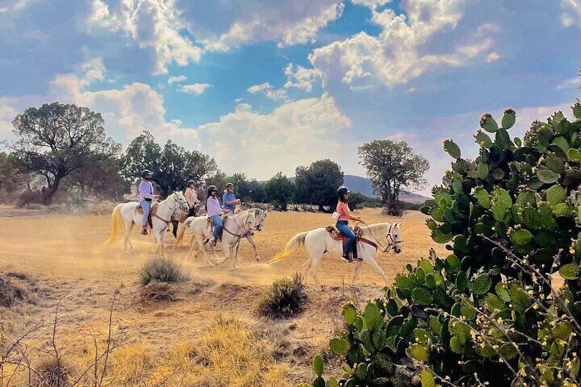 Horseback Riding through Mexican Haciendas 