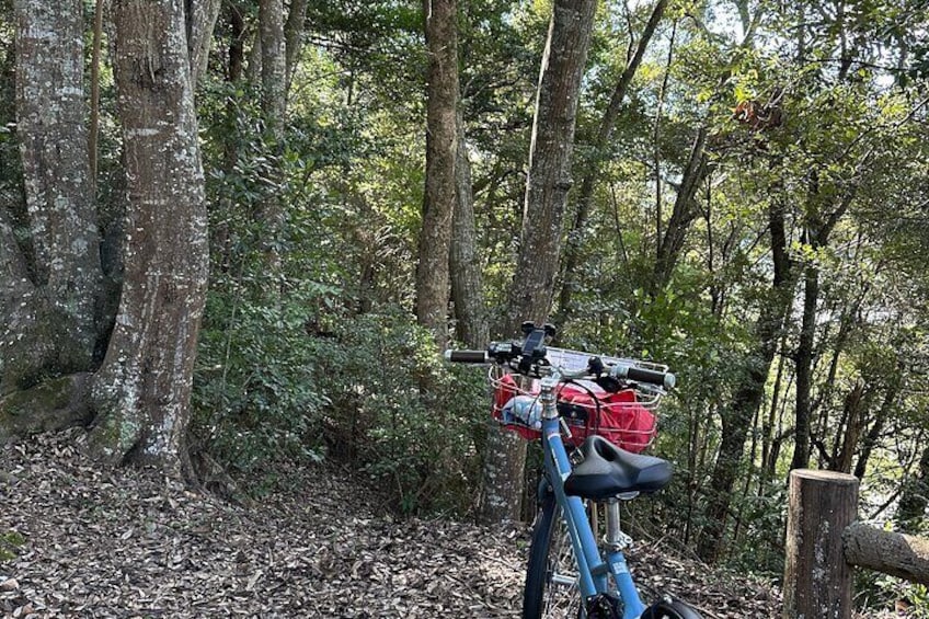 Kyoto Satoyama Cycling in Nantan with the Electric Assist Bike