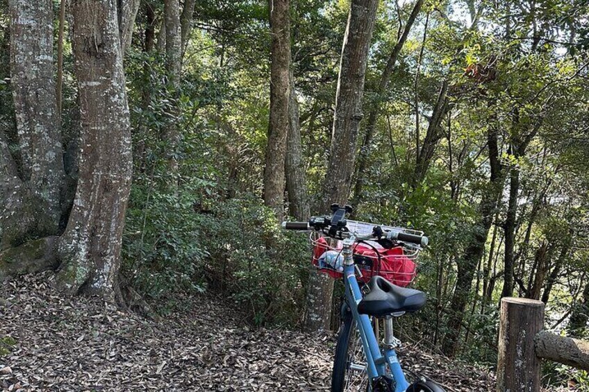 Kyoto Satoyama Cycling in Nantan with the Electric Assist Bike