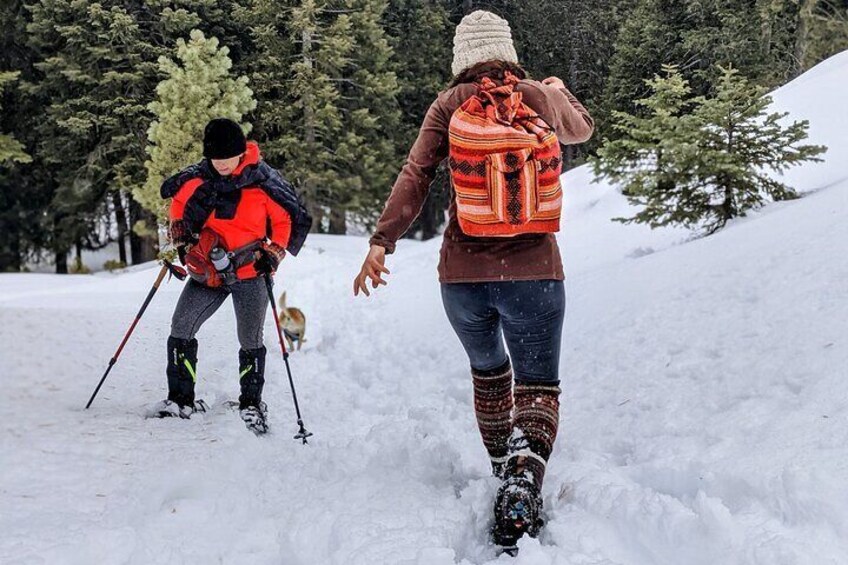 Snowshoe Tour Big Bear Lake with Hot Chocolate