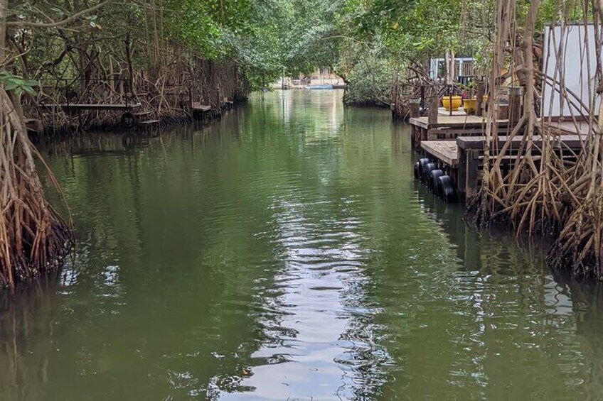 The Pantanal carioca 