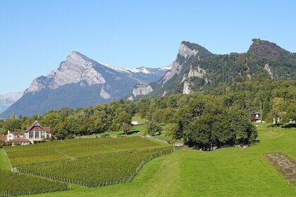 Private day trip from Zurich to Heidiland and Vaduz