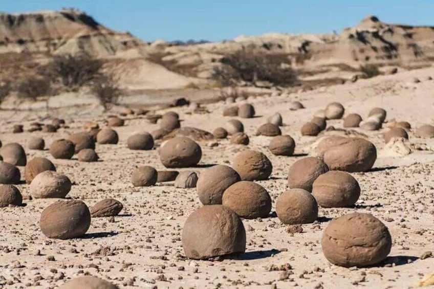 Tour to Ischigualasto Park Adventure in Valley of the Moon