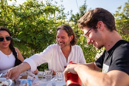 Gastronomy tour and wine tasting in traditional villages
