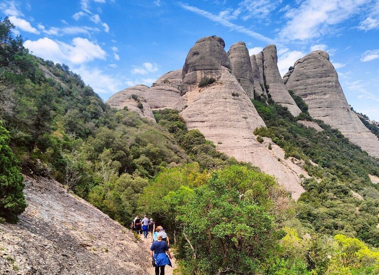 Picture 4 for Activity From Barcelona: Montserrat Highlights & Guided Nature Walk