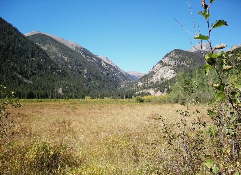 Picture 5 for Activity Estes Park: Private Hiking Tour to a Secluded Waterfall