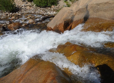 Estes Park: Vandringstur till vattenfall