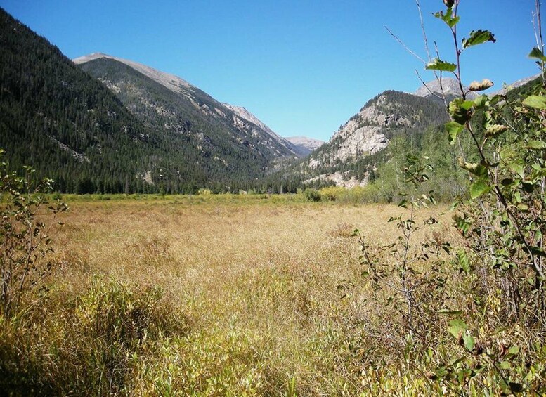 Picture 5 for Activity Estes Park: Waterfall Hiking Tour