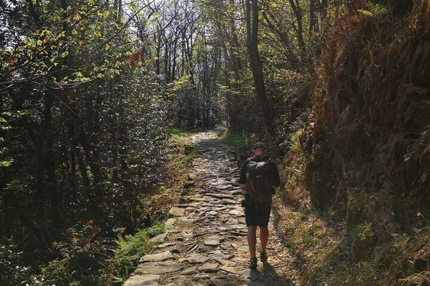 The Blue Path 
