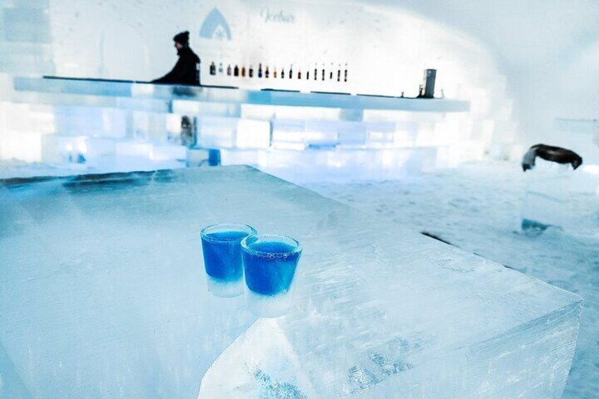 The Ice bar (included in the visit! )