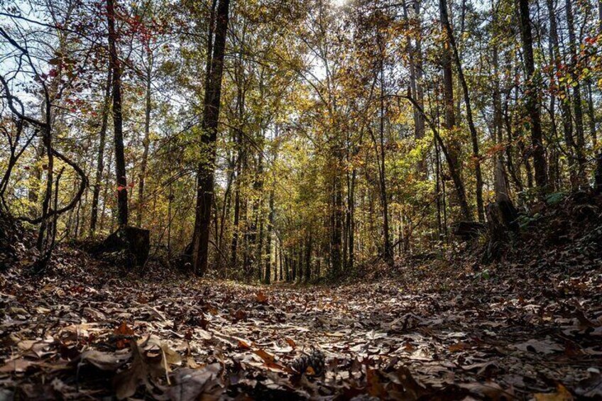 Natchez Trace Parkway Self-Guided Driving Audio Tour