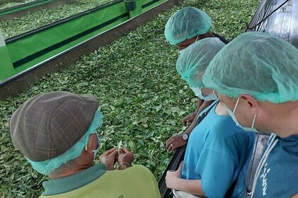 Authentic Sri Lankan Villages Private Guided Tour with Lunch