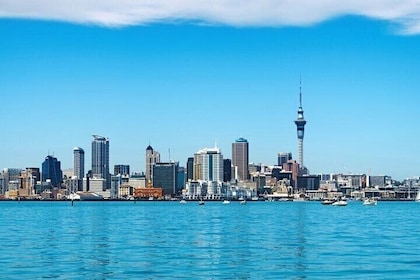 Private Street Food Tour of Auckland with a Local Guide