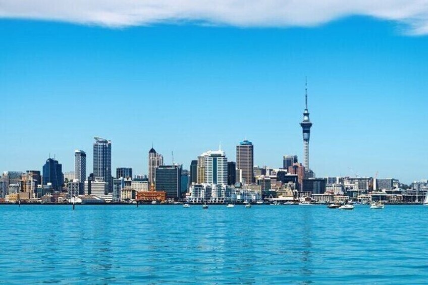 Private Street Food Tour of Auckland with a Local Guide