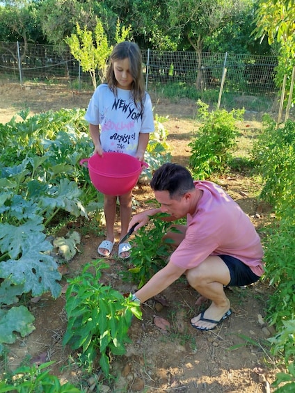 Picture 1 for Activity Chania: Greek Cooking Class with Meal & Drinks