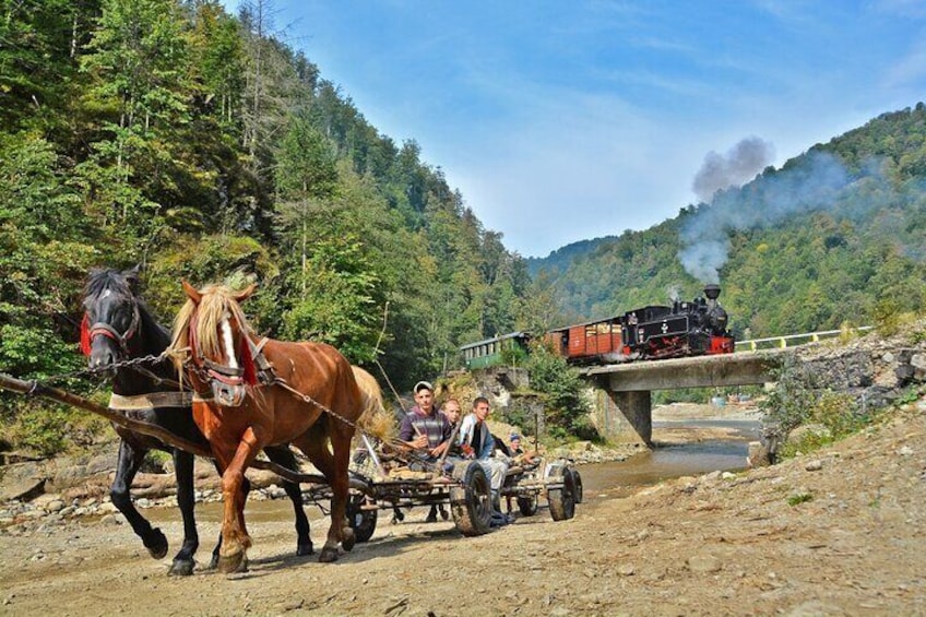 Rural Tour through Maramures and Bukovina from Cluj