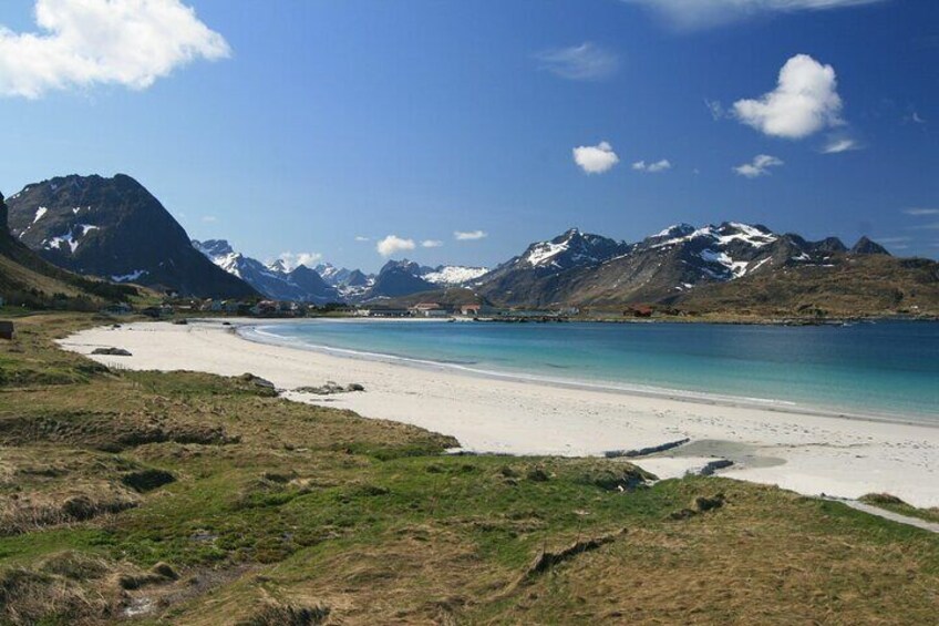 From Leknes port: Special Summer Guided Tour of Lofoten 