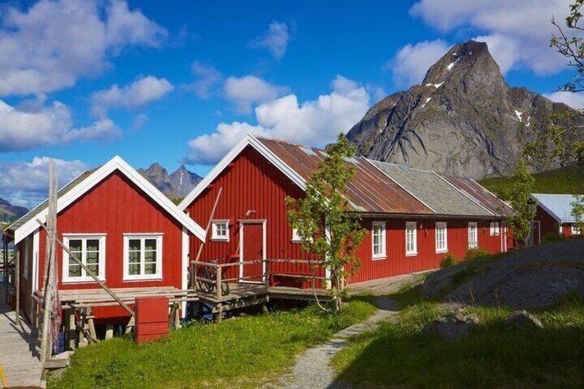 From Leknes port: Special Summer Guided Tour of Lofoten