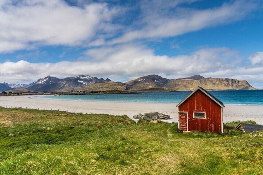 From Leknes port: Special Summer Guided Tour of Lofoten