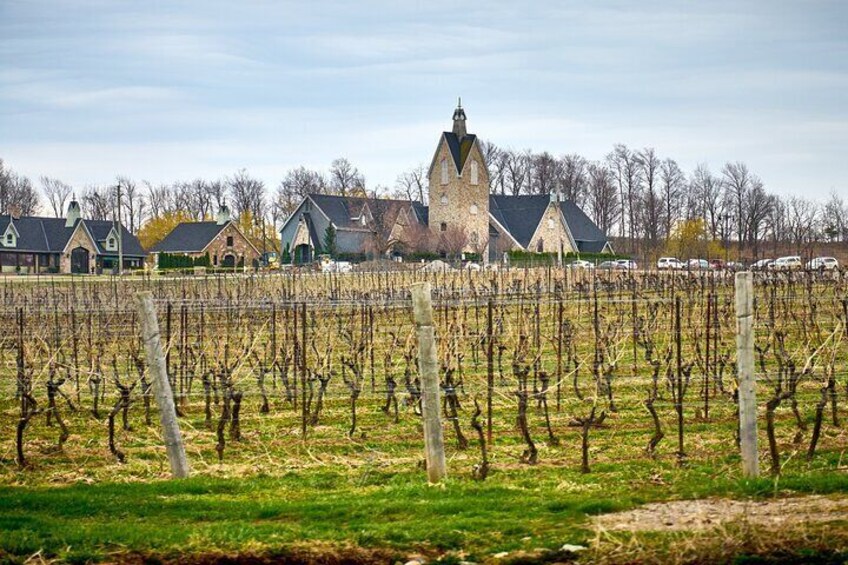 Private 5 Hour Wine Tour in Niagara-on-the-Lake