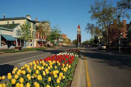 Private 5 Hour Wine Tour in Niagara-on-the-Lake