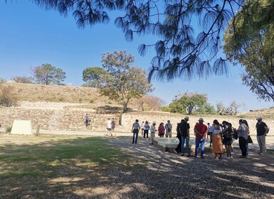 Oaxaca: Full Day Guided Tour on the Monte Alban Route
