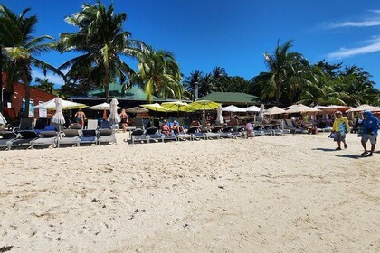 Saker att göra i nÀrheten av Tastes of Paradise Chocolate Rom & Island View...