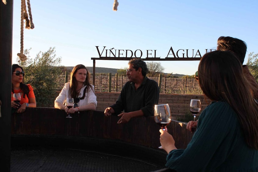 Aguascalientes: Explore Two of the Best Vineyards