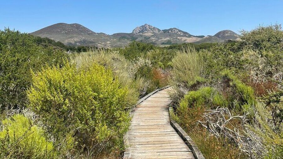 Elfin Forest Nature Tour with Local Sweet and Savory Tasting