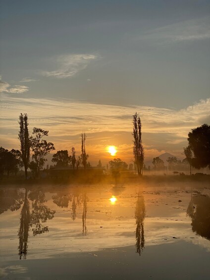 Picture 8 for Activity Xochimilco Eco Tour With Food