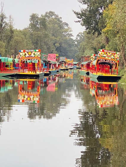 Picture 9 for Activity Xochimilco Eco Tour With Food