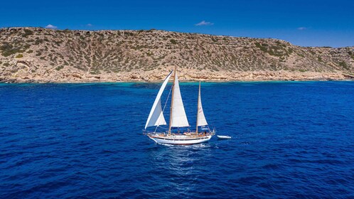 Mallorca by sea: Classic Sailing Experience