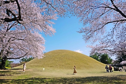From Busan: Echoes of Silla Gyeongju Historical Day Tour