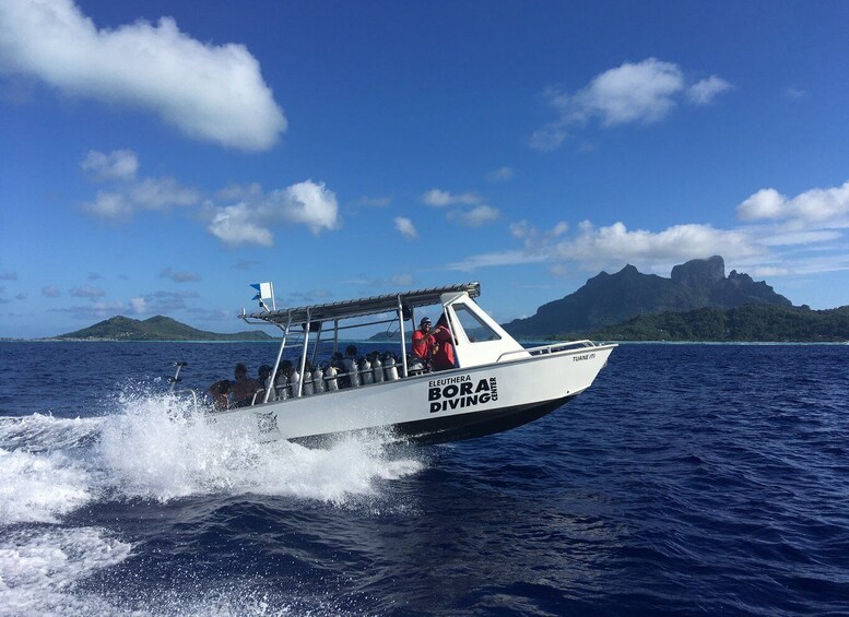 Picture 2 for Activity Bora Bora: Dive in Two Amazing Sites