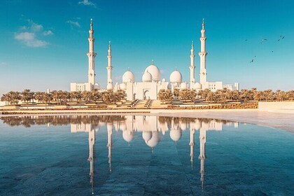 Private Abu Dhabi 6 Hours Layover City Tour