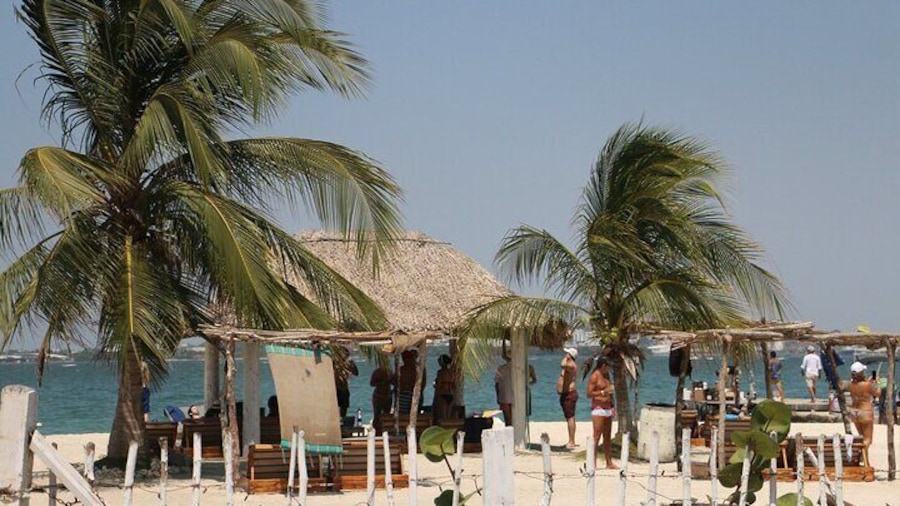 Fenix Beach Day Excursion