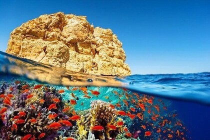 White Island Snorkeling and Ras Mohamed Sharm ElSheikh Boat Trip