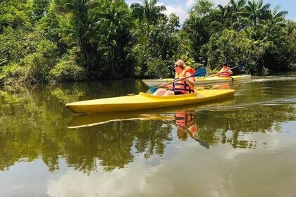 Phu Quoc Northern Island Kayak Adventure Day Trip