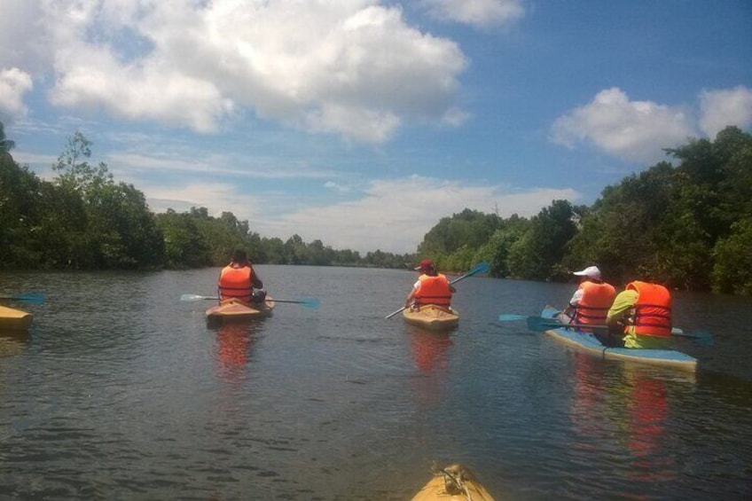 Phu Quoc Northern Island Kayak Adventure Day Trip