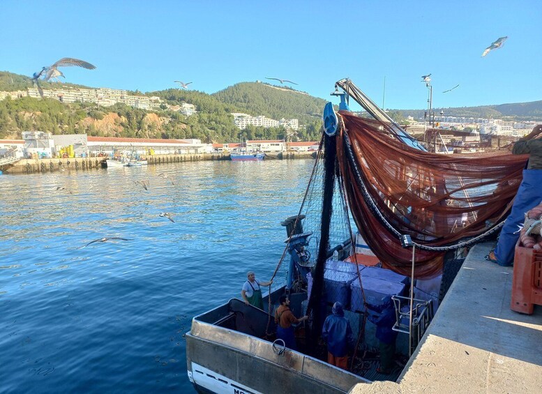 Picture 2 for Activity Sesimbra/Cabo Espichel/Aldeia do Meco Tour