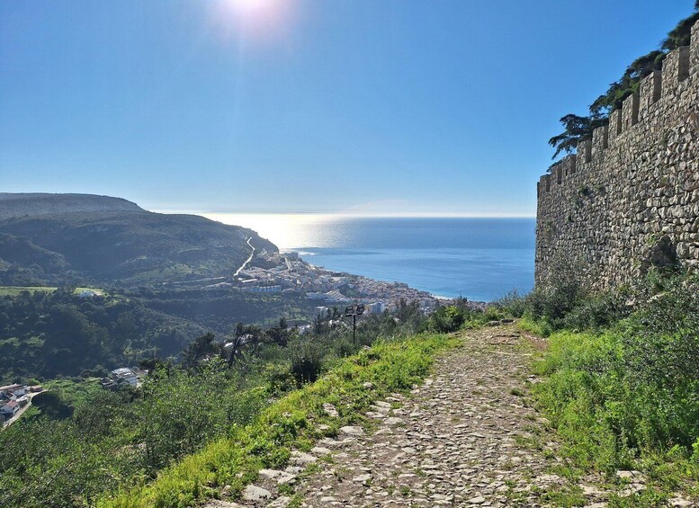 Picture 4 for Activity Sesimbra/Cabo Espichel/Aldeia do Meco Tour