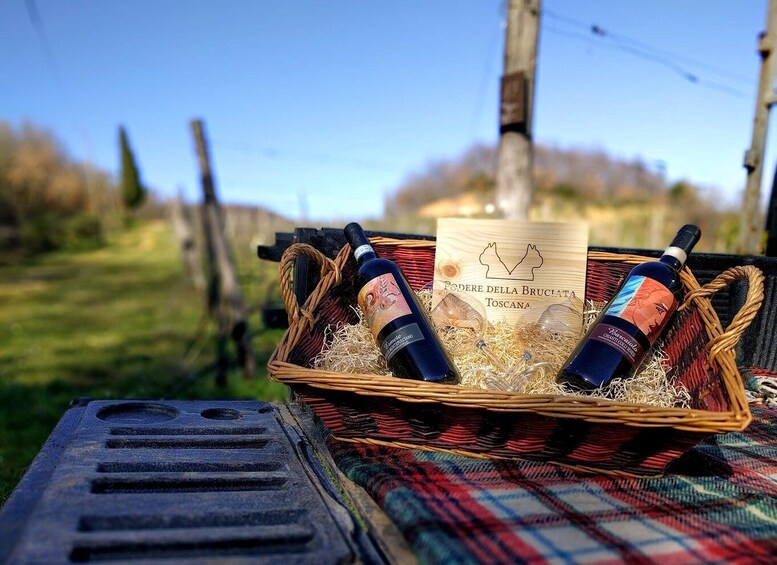 Picture 2 for Activity MONTEPULCIANO - PIC NIC WITH WINE! SURROUNDED BY VINEYARDS