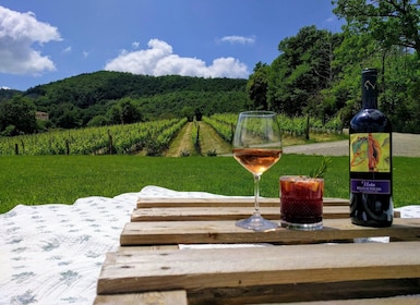 MONTEPULCIANO - PIC NIC WITH WINE! SURROUNDED BY VINEYARDS